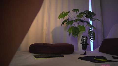 1orgasm1 free recording from 2025-12-23 14:06:00