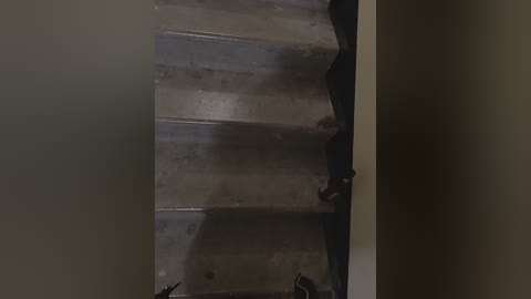 angelia22 free recording from 2025-12-23 19:08:00