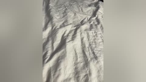 millemimi free recording from 2025-12-23 04:37:00