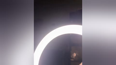 alexxxs2704 free recording from 2025-12-24 22:36:00