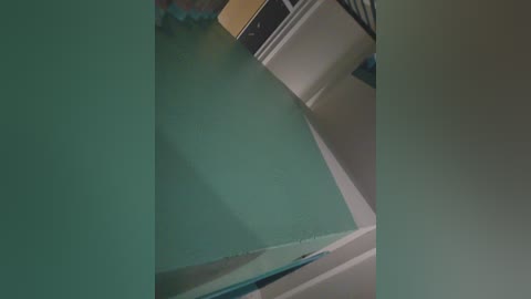 annanas free recording from 2025-12-24 02:36:00