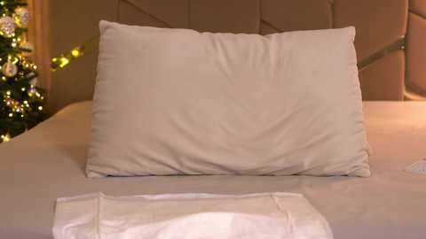 girl_pleasure free recording from 2025-12-25 16:25:00