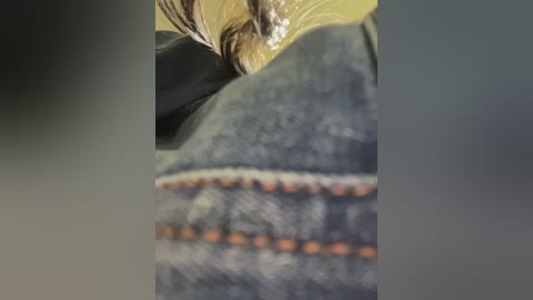 sallyeleins free recording from 2025-12-25 21:07:00