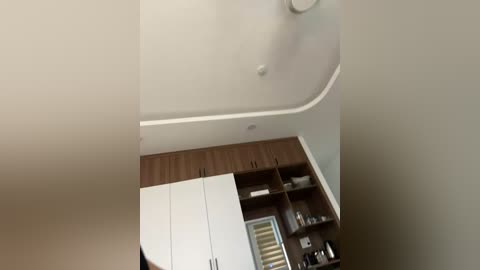 twins666 free recording from 2025-12-25 02:00:00