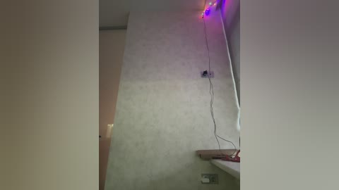 originalhooli free recording from 2026-03-23 00:05:00