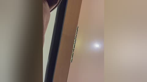 sasha_orlova free recording from 2025-12-26 10:06:00