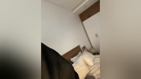 twins666 free recording from 2025-12-27 01:03:00