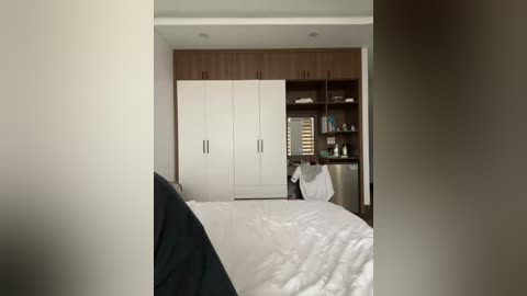 twins666 free recording from 2025-12-27 06:23:00