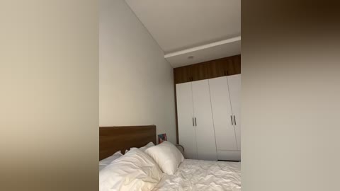 twins666 free recording from 2025-12-27 07:12:00