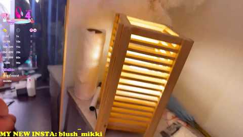 blushmikki free recording from 2025-12-28 18:09:00