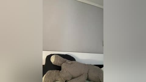 julli_az1 free recording from 2025-12-30 08:24:00