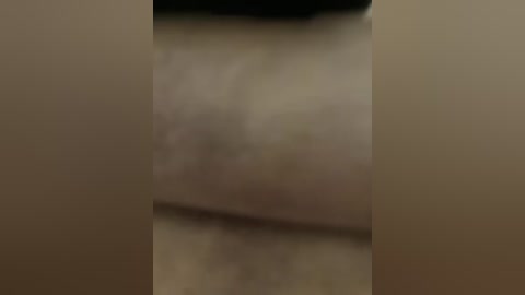 ernieflossy free recording from 2026-04-14 02:21:00