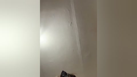 ernieflossy free recording from 2026-04-14 02:21:00