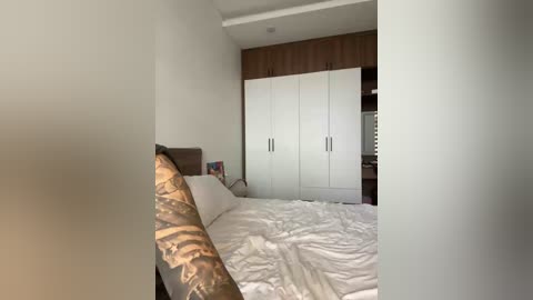 twins666 free recording from 2025-12-31 02:19:00