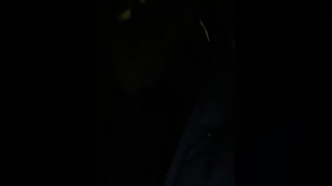 alissalexx free recording from 