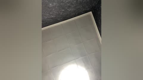 adamandeve free recording from 2026-01-02 21:44:00