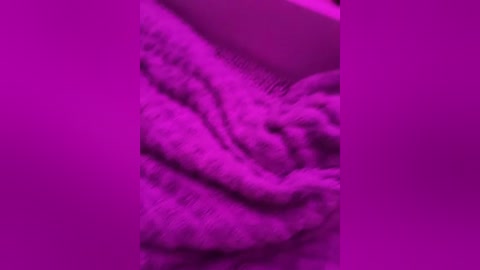 badparents free recording from 2026-01-02 08:24:00