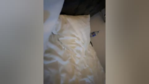 elegancycouple free recording from 2026-04-14 02:42:00