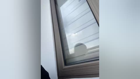 twins666 free recording from 2026-01-02 06:55:00