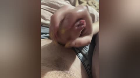 anchelikaaa free recording from 