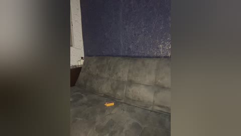 _the_sweet_couple_ free recording from 2026-01-05 04:30:00