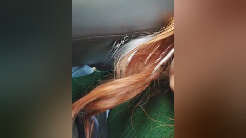 alex80_201 free recording from 