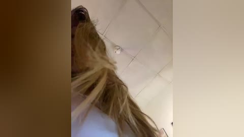 babieswink free recording from 