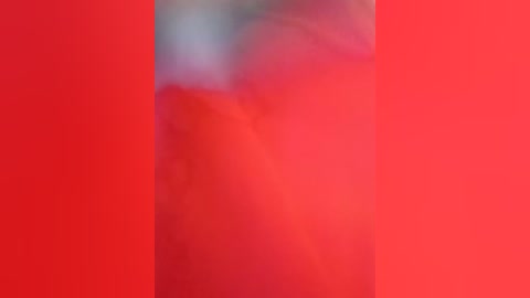 johnyfenomet2 free recording from 2026-04-15 02:07:00