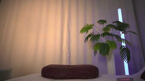 1orgasm1 free recording from 2026-01-06 12:49:00