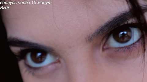 _catt_ free recording from 2026-01-06 19:16:00