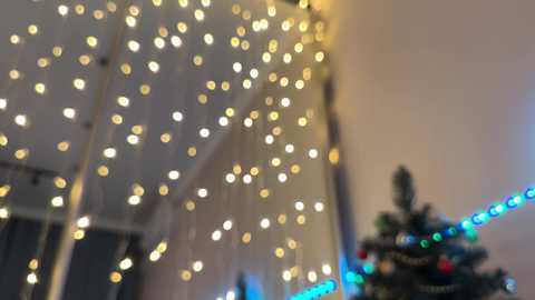 allweneedislove free recording from 