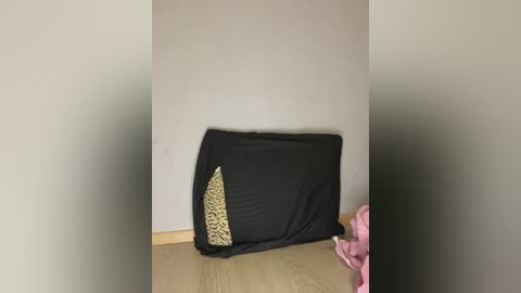 demonmarrry free recording from 