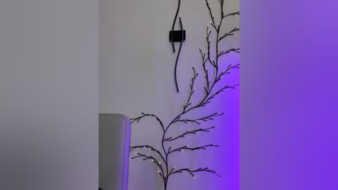 dream_love69 free recording from 2026-04-14 02:42:00