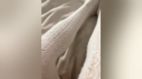 evaalex12 free recording from 