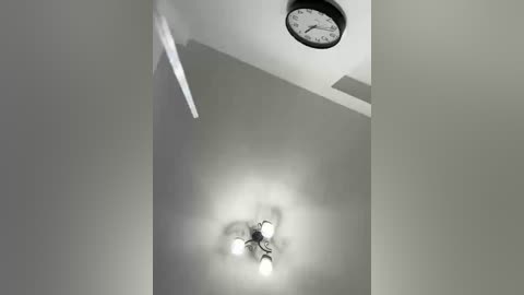 adelya0201 free recording from 2026-01-07 19:41:00