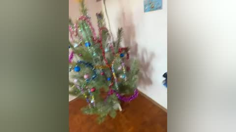 dyrilkakartonnaya free recording from 2026-04-14 02:42:00