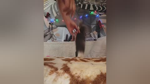 dianaahtender free recording from 2026-01-08 03:54:00