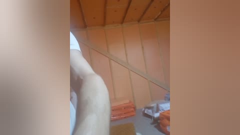 alexalex24 free recording from 2026-04-14 02:03:00