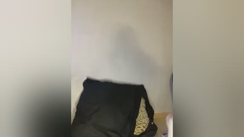 demonmarrry free recording from 2026-01-09 02:03:00