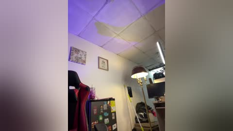 babieswink free recording from 2026-04-14 02:42:00