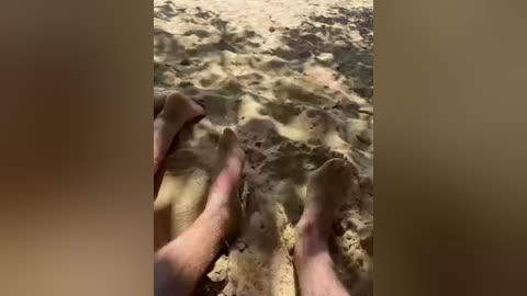 volnav free recording from 2026-01-10 05:00:00