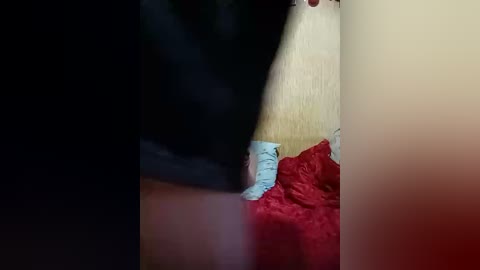 android431 free recording from 2026-01-11 12:47:00