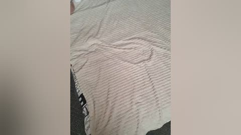 cat_bars69 free recording from 2026-01-11 05:43:00