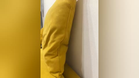 davit1 free recording from 2026-01-12 02:13:00