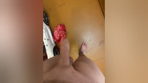 alex_kis777 free recording from 2026-04-05 01:47:00