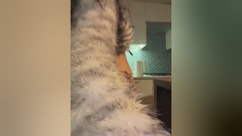 __sativa__ free recording from 