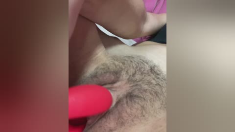 cat_meowa free recording from 2026-01-14 20:27:00