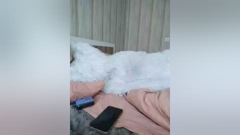 ds888 free recording from 2026-01-14 06:25:00