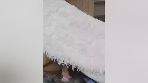 ds888 free recording from 2026-01-15 09:18:00