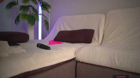 1orgasm1 free recording from 2026-01-16 05:00:00